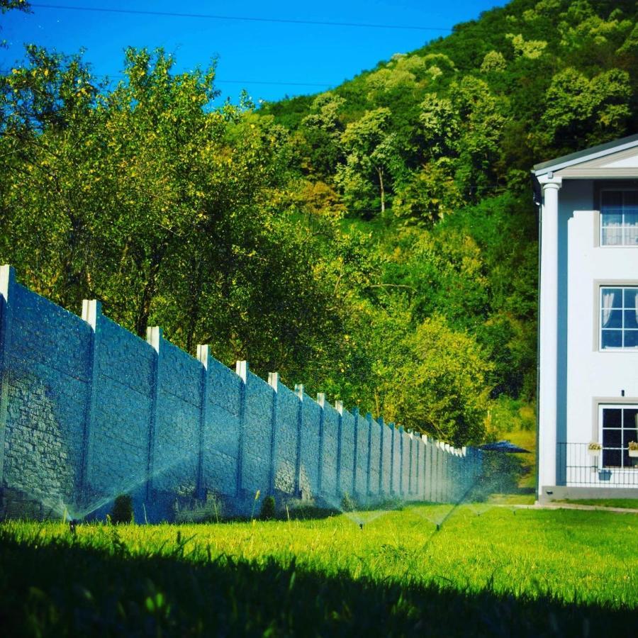 Green Hill Villa Călimăneşti Zewnętrze zdjęcie