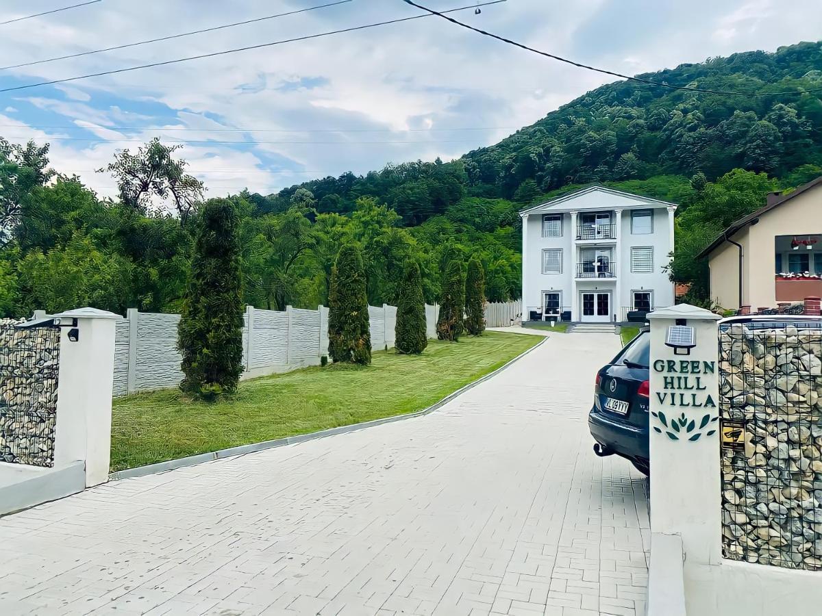 Green Hill Villa Călimăneşti Zewnętrze zdjęcie