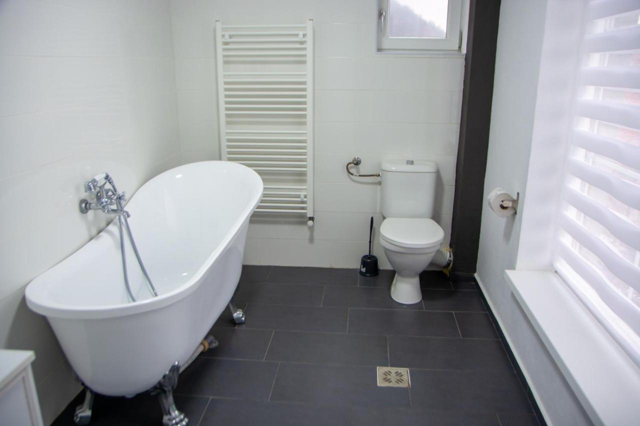 Green Hill Villa Călimăneşti Zewnętrze zdjęcie