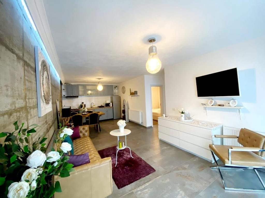 Green Hill Villa Călimăneşti Zewnętrze zdjęcie