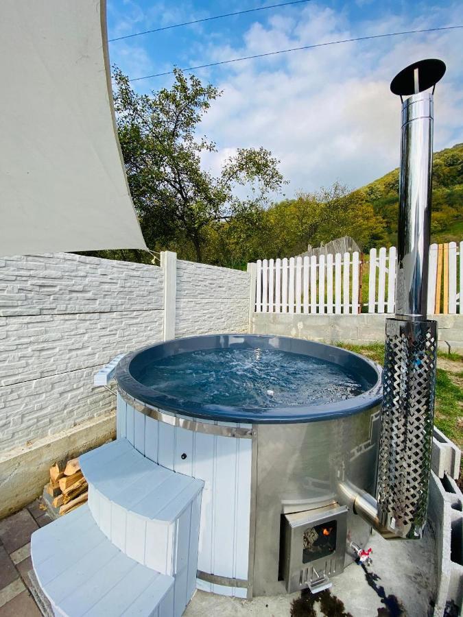 Green Hill Villa Călimăneşti Zewnętrze zdjęcie